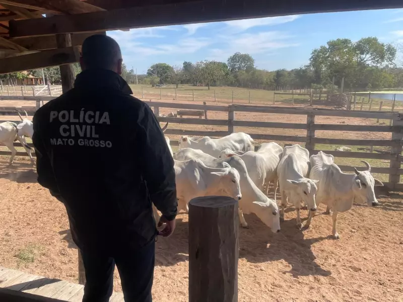 Fazendeiro preso em Cuiabá acusado de roubo de gado: veja os detalhes