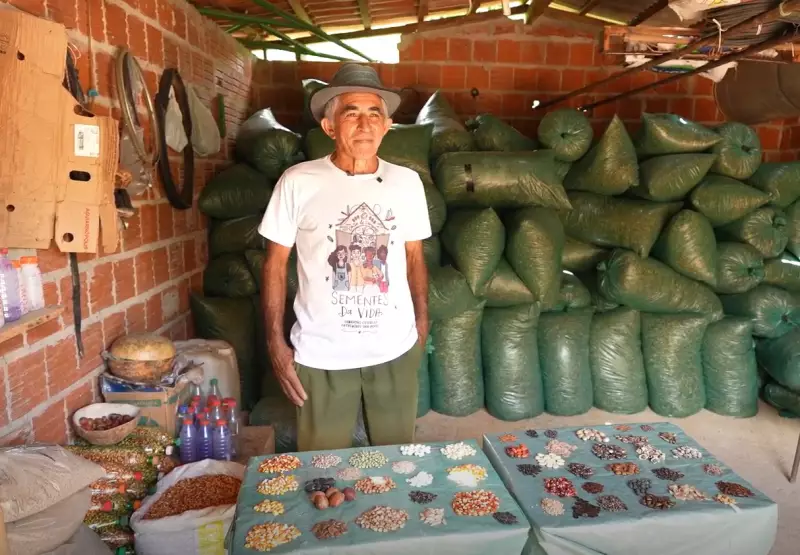 Feijão Barrigudo e Trivícia: Guardiões das Sementes do Sertão do Araripe que Mantêm Viva a Cultura Regional