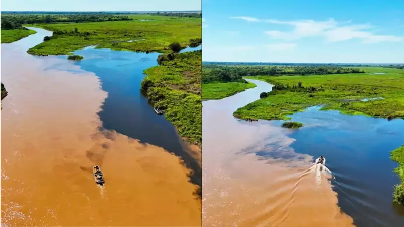 Fenômeno raro no Pantanal: águas que se recusam a se misturar encantam visitantes