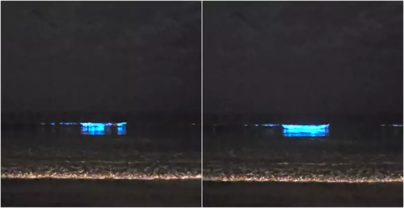 Fenômeno raro: ondas do mar brilham em azul neon no litoral de Santa Catarina — veja o vídeo!
