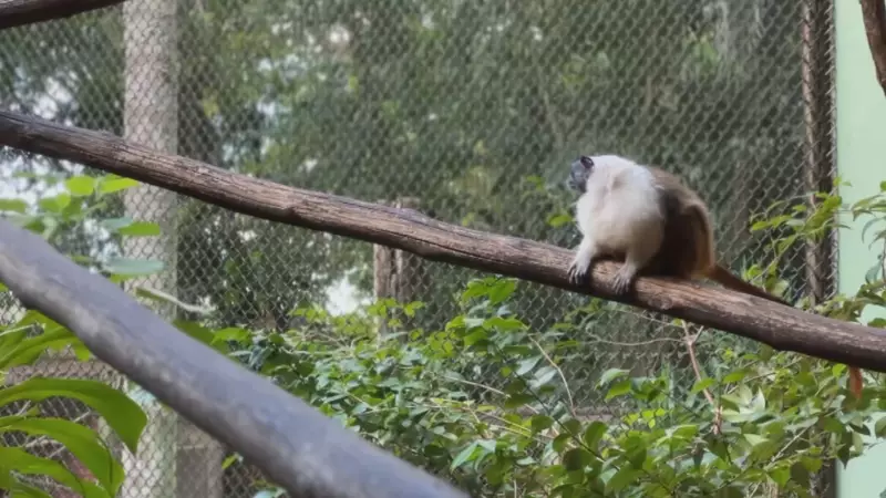 Férias de julho: Zoológico Municipal e Jardim Botânico de Bauru ampliam horário de funcionamento