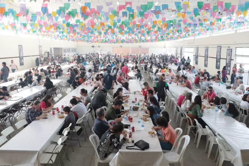 Festa da Cerejeira em Suzano: Tradição e Beleza Neste Final de Semana