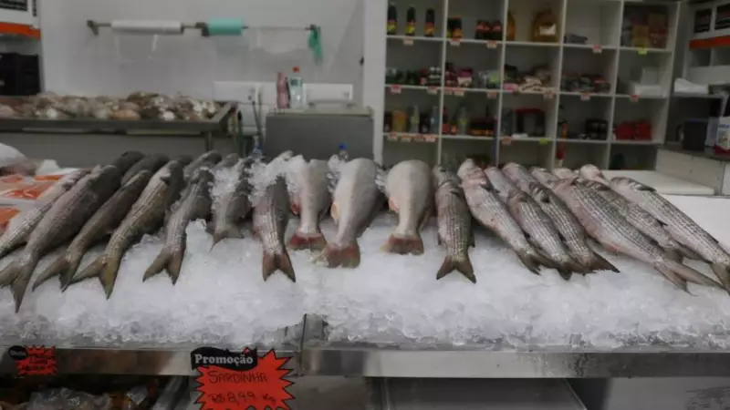 Festival da Tainha em Santos: Delícias do mar a partir de R$ 11,99 o quilo no Mercado de Peixes