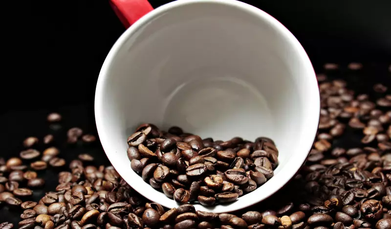 Festival de Cafés da Bahia: um mergulho sensorial na capital baiana