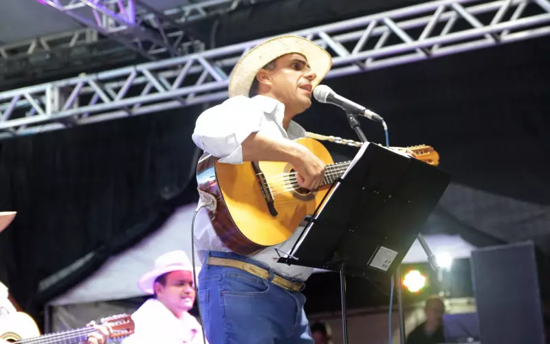 Festival de Viola Caipira em São Lourenço: Música, Cultura e Sabores para Agitar o Sul de Minas