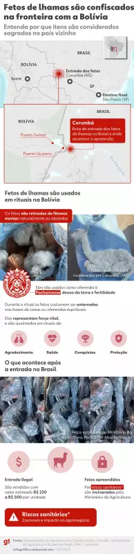 Fetos de lhamas em rituais bolivianos: o risco sanitário que preocupa o Brasil