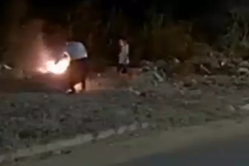 Fogo consome vegetação na Bahia: saiba como o incêndio começou e áreas afetadas