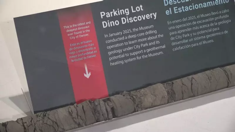 Fóssil de dinossauro é descoberto durante reforma em estacionamento nos EUA — veja imagens!