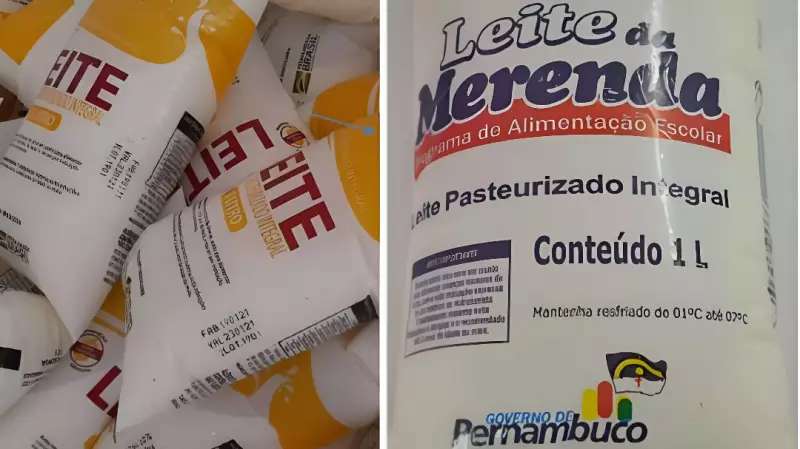 Fraude no Programa Leite de Todos: Empresas de fachada, leite adulterado e produtores mortos envolvidos em esquema milionário