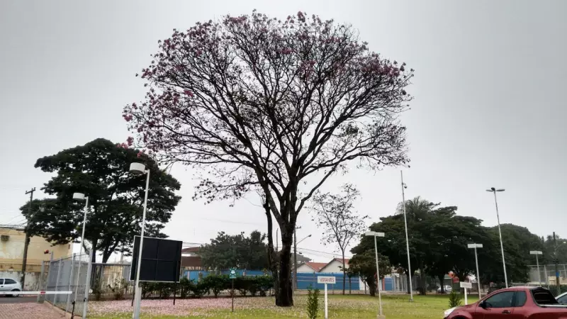 Frente polar bate recorde em Campo Grande: menor temperatura máxima do ano registrada