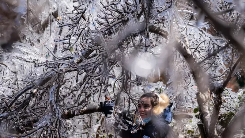 Frente polar derruba temperaturas no Sul: RS registra 9,1°C e SC chega a 7,7°C