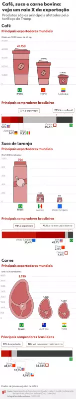 Frigoríficos de MS travam exportação de carne para os EUA após taxação de Trump — entenda o impacto