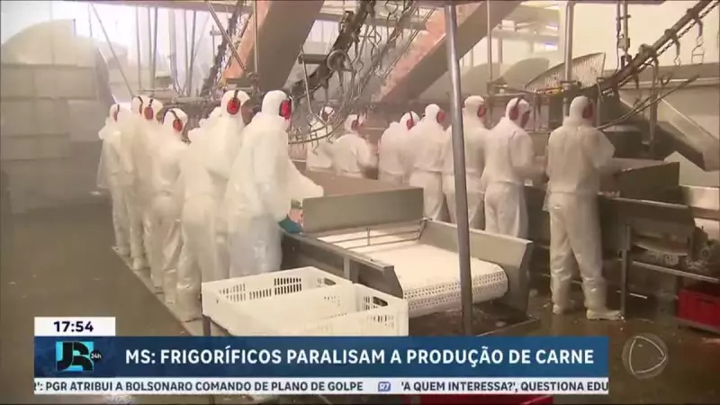 Frigoríficos em MS param produção após taxação de 50% dos EUA — entenda o impacto
