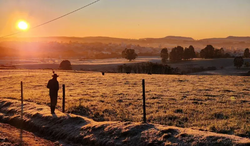 Frio dá lugar ao sol em SC: previsão para o fim de semana é de tardes mais quentes