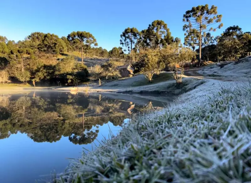 Frio extremo no Paraná: geadas e temperaturas negativas assustam moradores