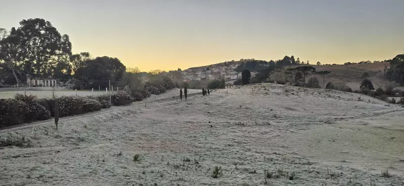 Frio intenso na Serra Catarinense congela vidros de carros: veja imagens impressionantes!