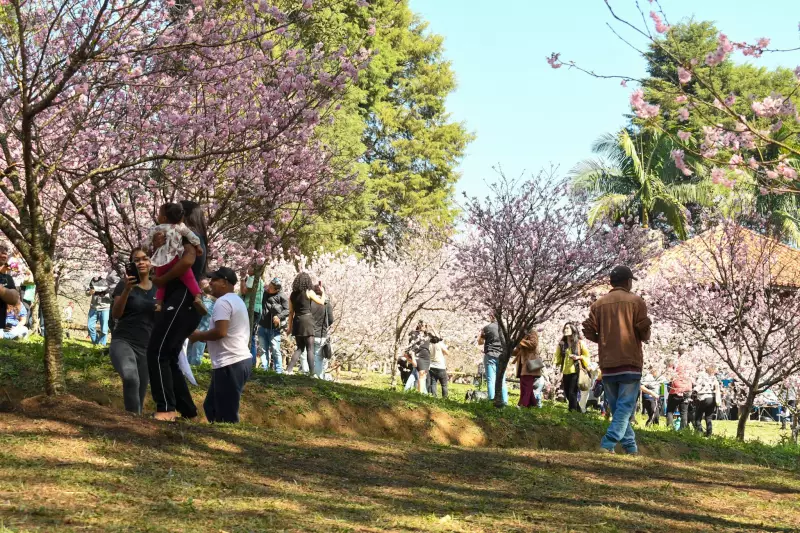 Gangorra climática em SP: Domingo de calorão de 30°C e semana com frio e chuva