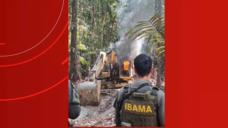 Garimpeiros fogem para a floresta ao avistar helicóptero em operação no sul do Amazonas