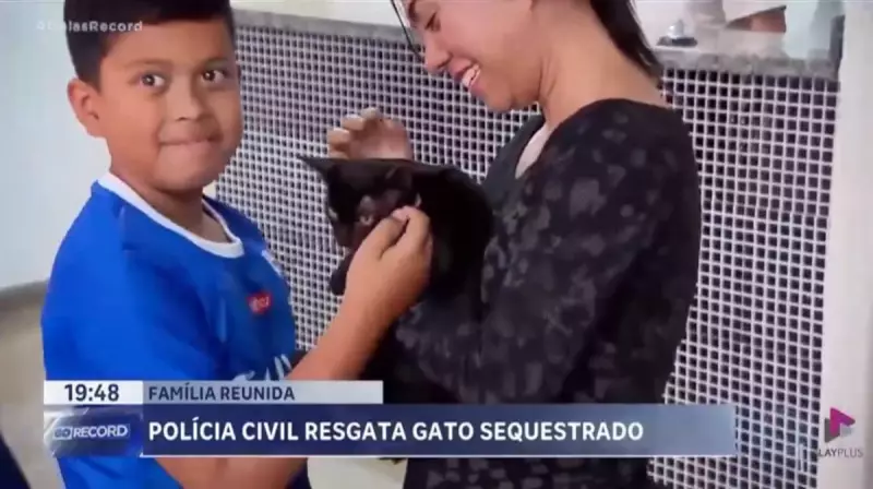 Gato é sequestrado e devolvido em Goiânia: saiba como a família recuperou o pet!