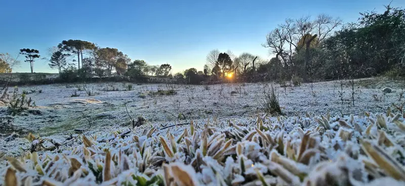 Geada intensa em SC: termômetros marcam abaixo de -4°C na região mais fria do estado