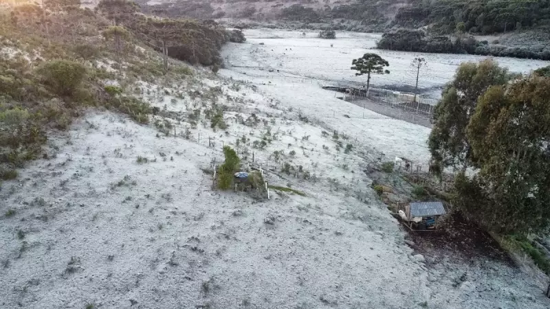 Geada transforma Serra de SC em cenário de inverno: temperaturas chegam a 5°C