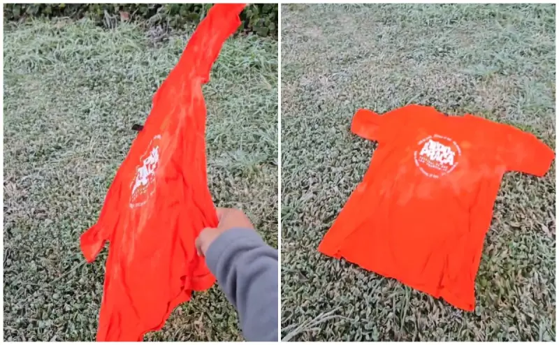 Geadas transformam camisetas em esculturas de gelo em São Joaquim, SC