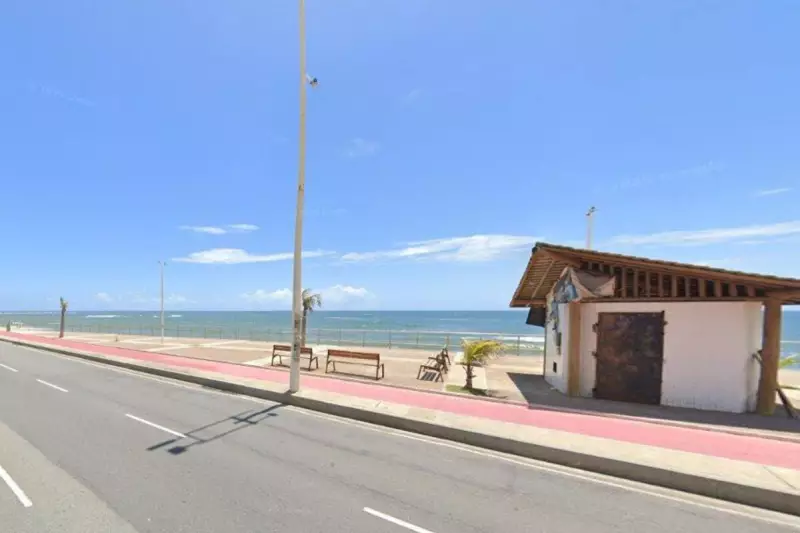 Golfinho é resgatado com vida em praia de Salvador — veja os detalhes emocionantes!