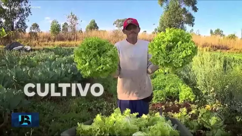 Governo anuncia injeção de recursos em programas sociais para combater a fome no Brasil