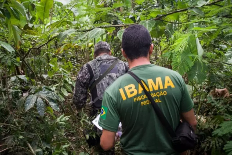 Governo autoriza contratação temporária de 60 servidores para Ibama e Incra: veja os cargos