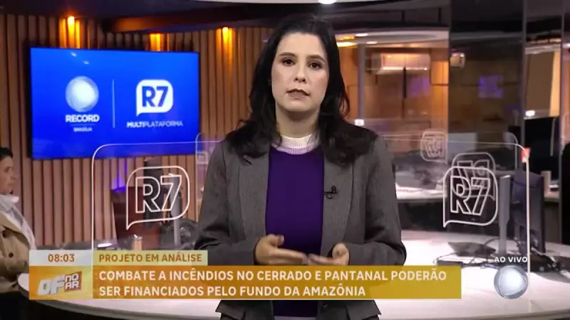 Governo avalia usar Fundo Amazônia para combater incêndios no Cerrado: entenda a proposta
