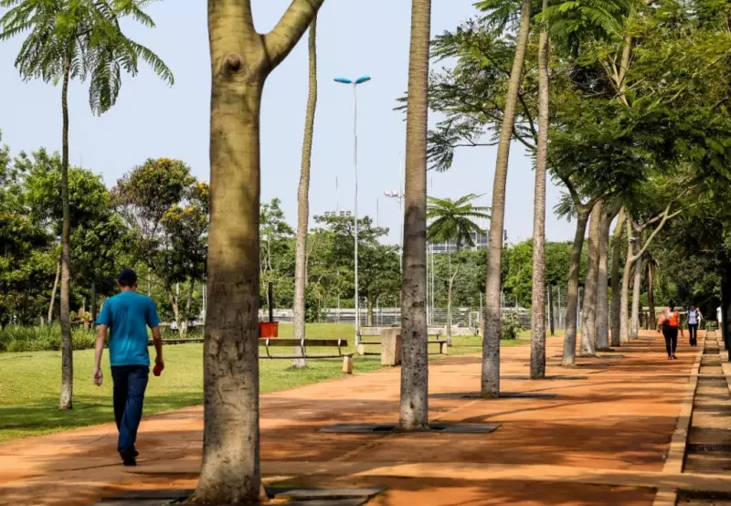 Governo de SP anuncia audiências públicas sobre concessão de parques urbanos: participe!