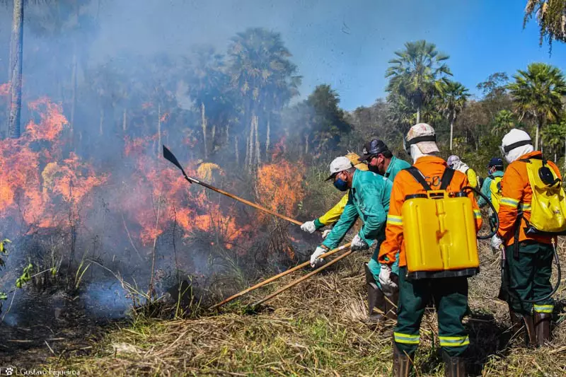 Governo planeja investir R$ 150 milhões do Fundo Amazônia para combater incêndios no Cerrado e Pantanal