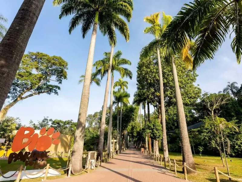 Gripe Aviária no Rio: Bioparque Registra Casos e Alerta Acende no Estado