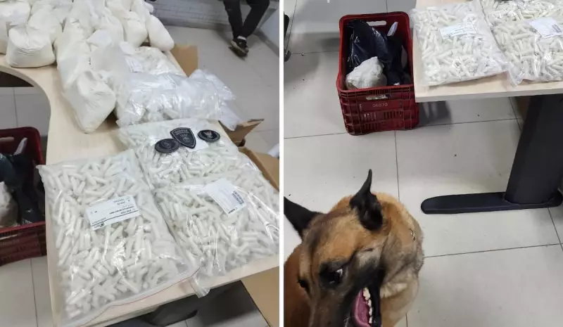 Guarda apreende 30kg de pasta base de cocaína em Cariacica: maior apreensão do ano no ES