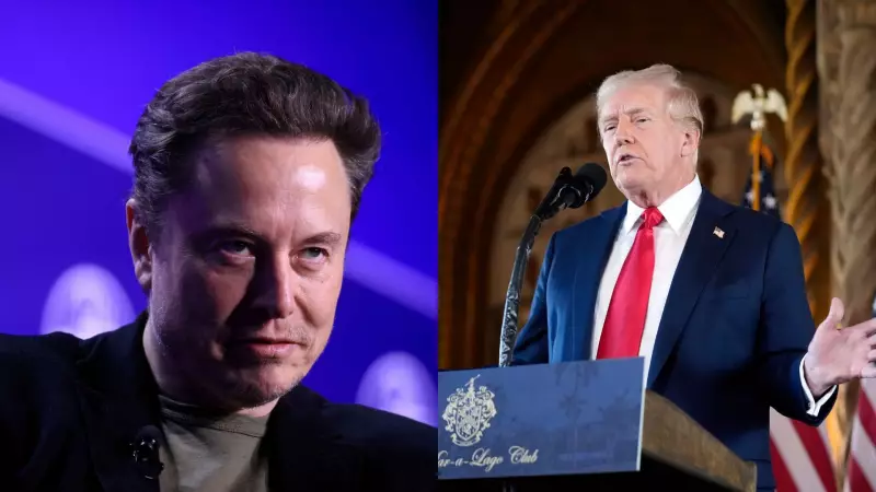 Guerra de egos e IA: Empresa de Elon Musk fecha contrato bilionário com governo dos EUA