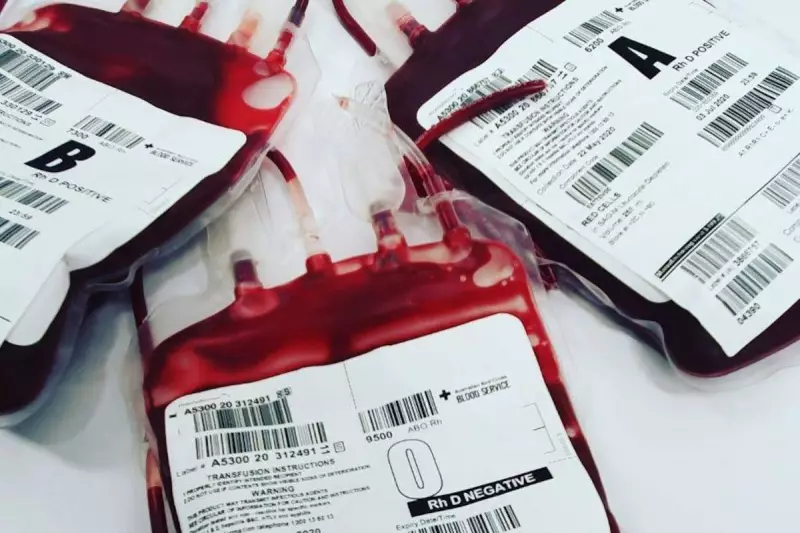 Hemofilia no Brasil: Por que o tratamento em casa ainda é um desafio para milhares de pacientes?
