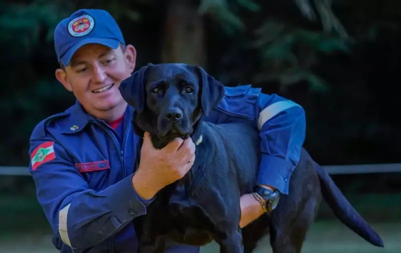 Heroína de quatro patas: cadela que atuou em Brumadinho e enchentes se aposenta dos Bombeiros em SC