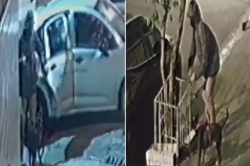 Homem abandona cachorro amarrado em canteiro no litoral de SP; flagrante choca nas redes