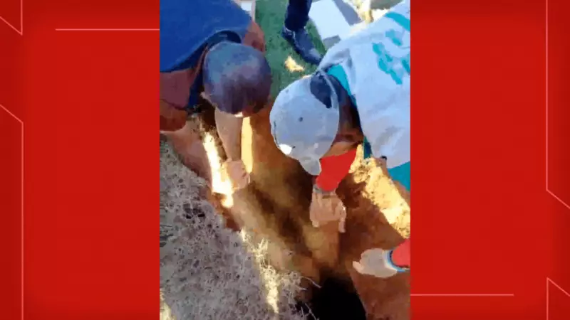 Homem cai em cova de cemitério na Asa Sul e fica preso: veja o vídeo chocante