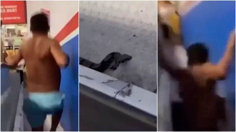 Homem cai em esteira de supermercado ao tentar pegar cobra em São Luís — veja o vídeo!