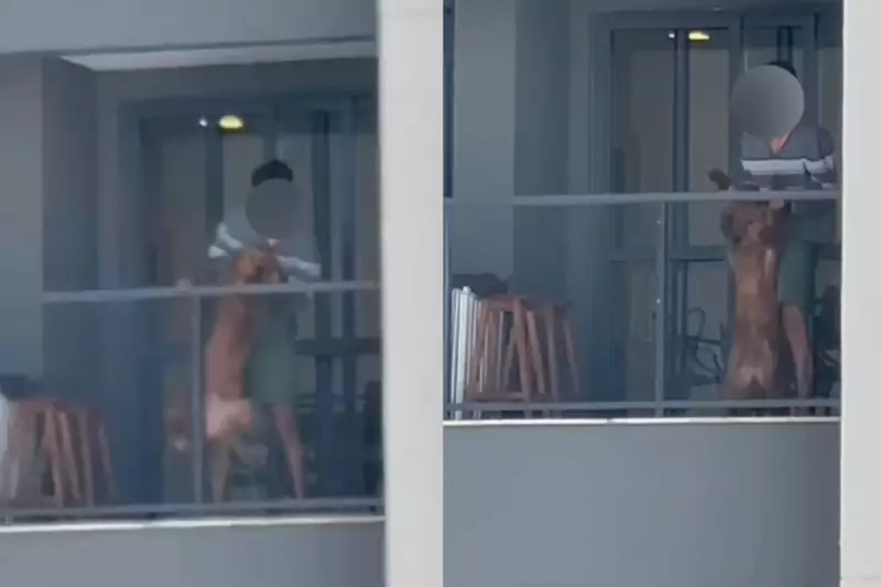Homem é detido após vídeo chocante de agressão a cachorro em sacada de apartamento em Londrina