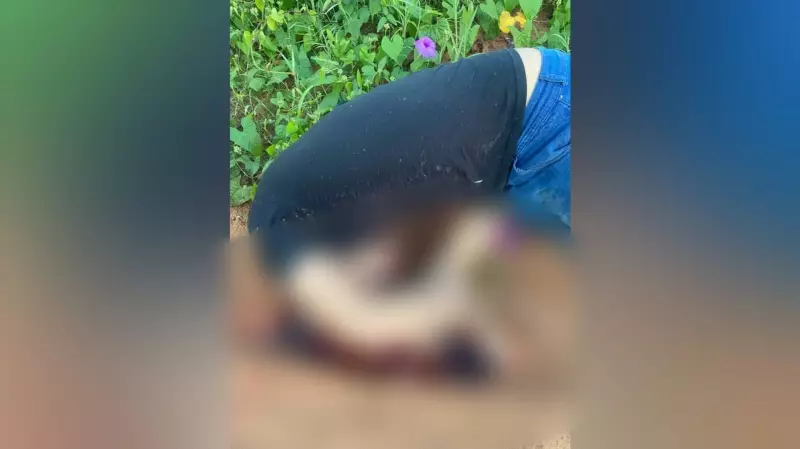 Homem é encontrado morto em ramal de Santarém: Polícia Civil investiga circunstâncias do caso