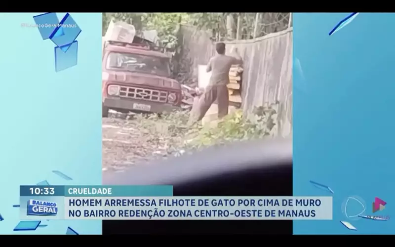 Homem é flagrado arremessando filhote de gato em área deserta de Manaus — Veja o vídeo chocante