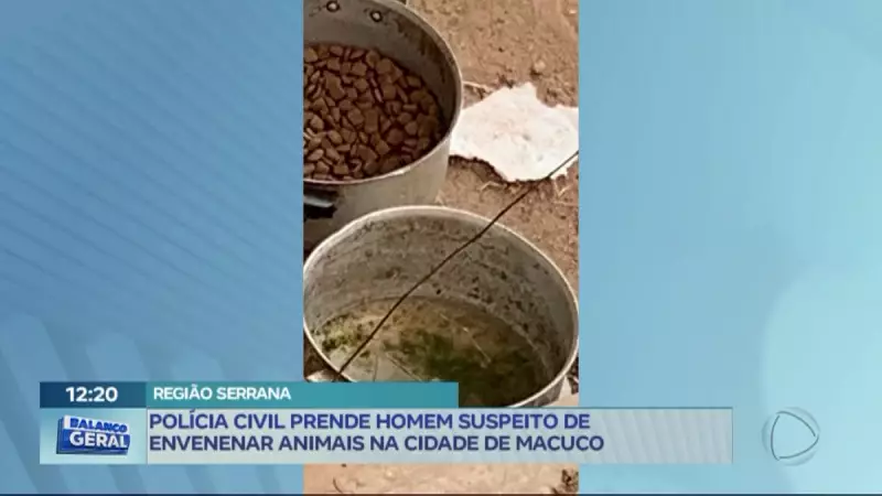 Homem é preso por envenenar animais em Macuco, RJ: entenda o caso