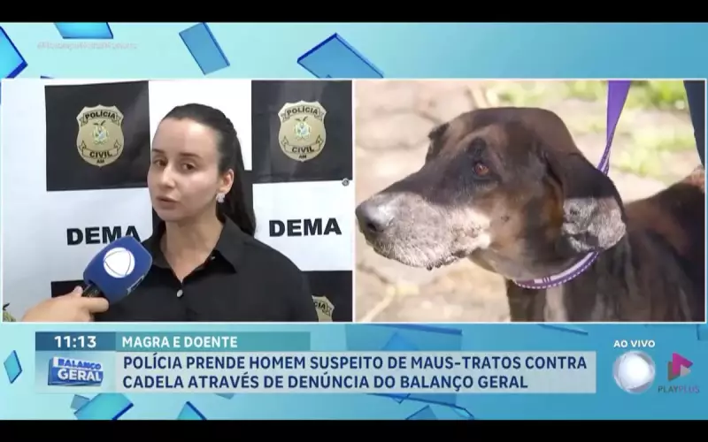 Homem é preso por maus-tratos a cadela em Manaus após denúncia no Balanço Geral