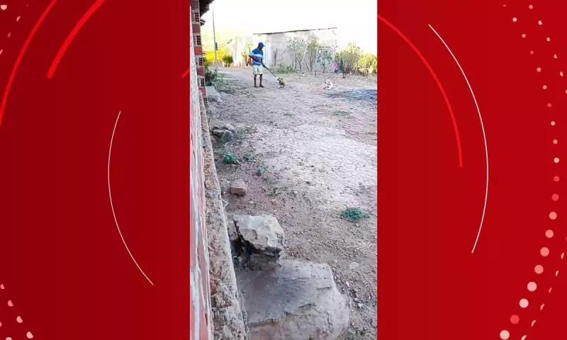Homem é procurado por matar cachorro na Bahia: caso choca moradores