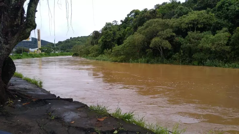 Homem morre afogado no Rio Paraibuna em Matias Barbosa: tragédia alerta para riscos