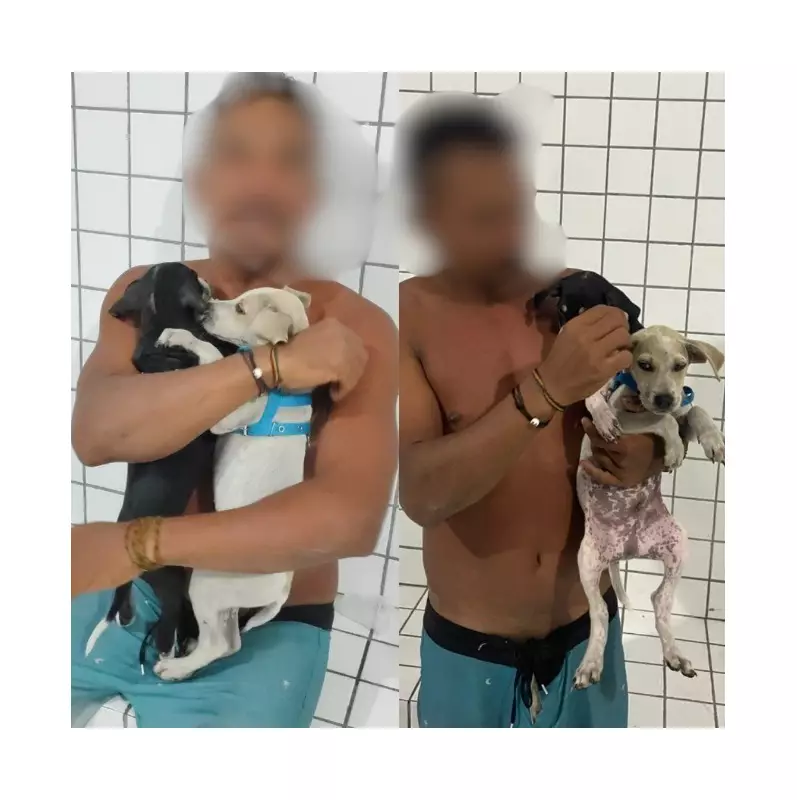 Homem tenta afogar filhotes de cachorro no mar de Parnaíba e é preso em flagrante