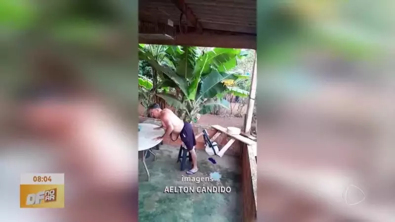 Homem transforma quintal em academia sustentável com materiais reciclados e vira sensação na web