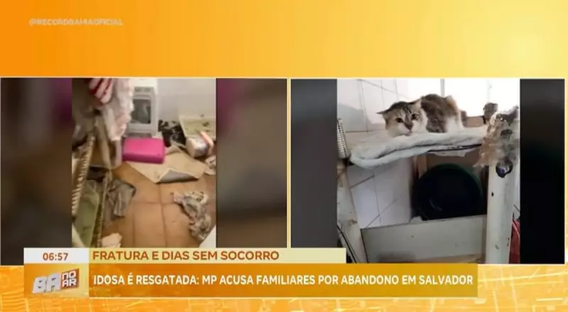 Idosa abandonada e animais maltratados: MP da Bahia denuncia familiares por crimes chocantes
